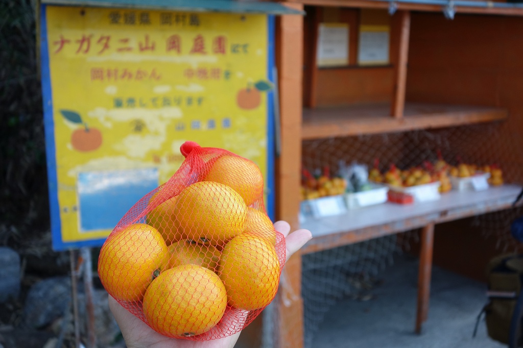 とびしま海道の無人販売のミカン